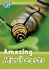 Amazing Minibeasts (Read and Discover 3) Book+Cd Pack