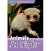Animals At Night (Read and Discover 4)