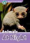 Animals At Night (Read and Discover 4) Activity Book
