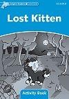 Lost Kitten Activity Book (Dolphin - 1)