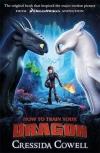 How To Train Your Dragon Film Tie In